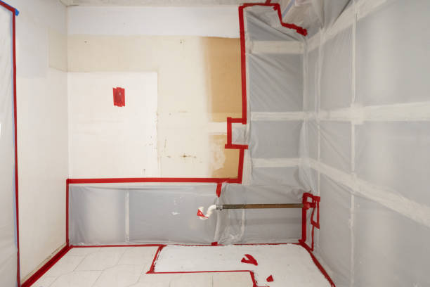 Best Mold Damage Restoration  in Gardendale, TX