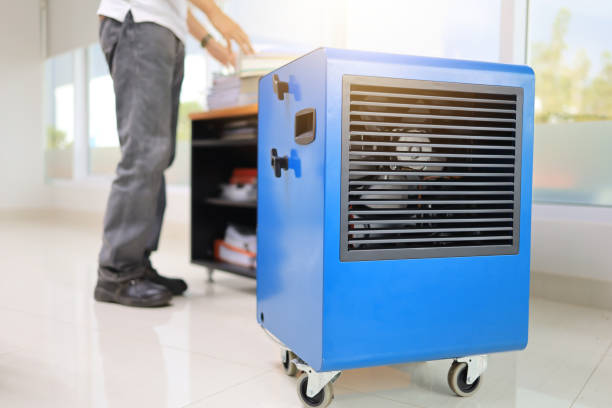 Best Environmental Consulting for Mold Prevention  in Gardendale, TX