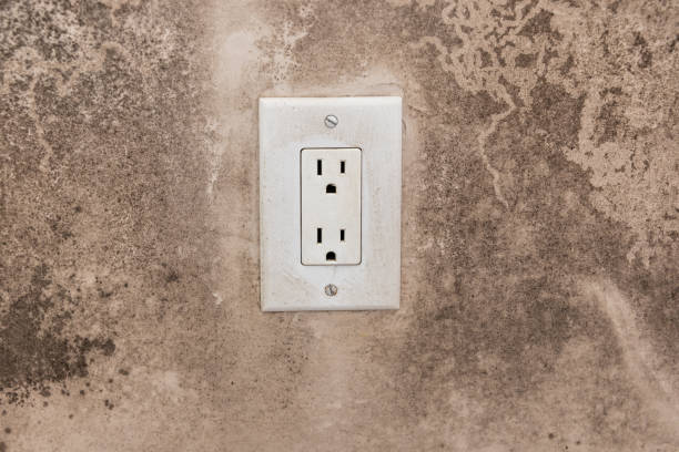 Best Post-Construction Mold Inspection  in Gardendale, TX